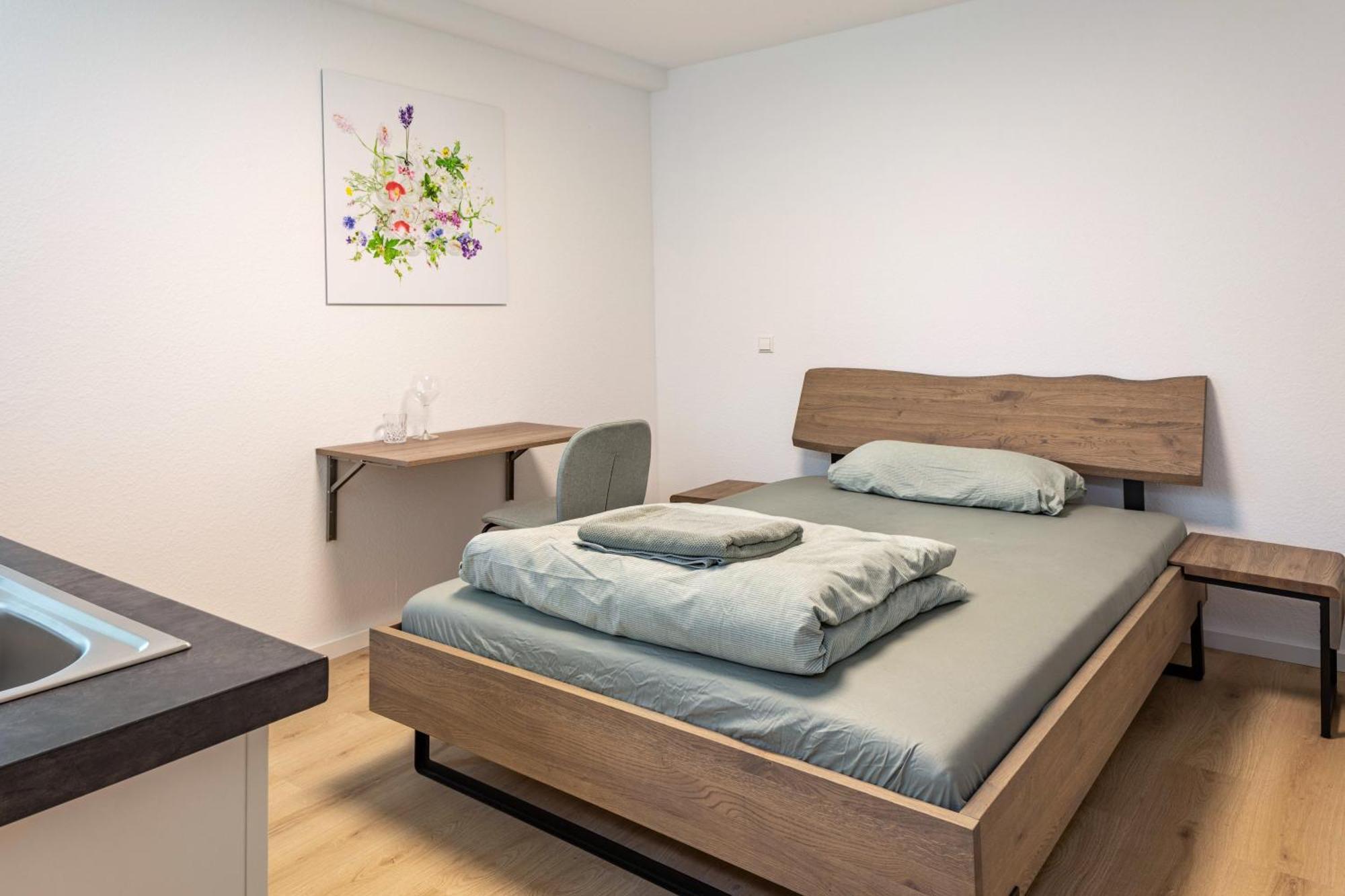 Mcello Apartments Bad Krozingen Extérieur photo